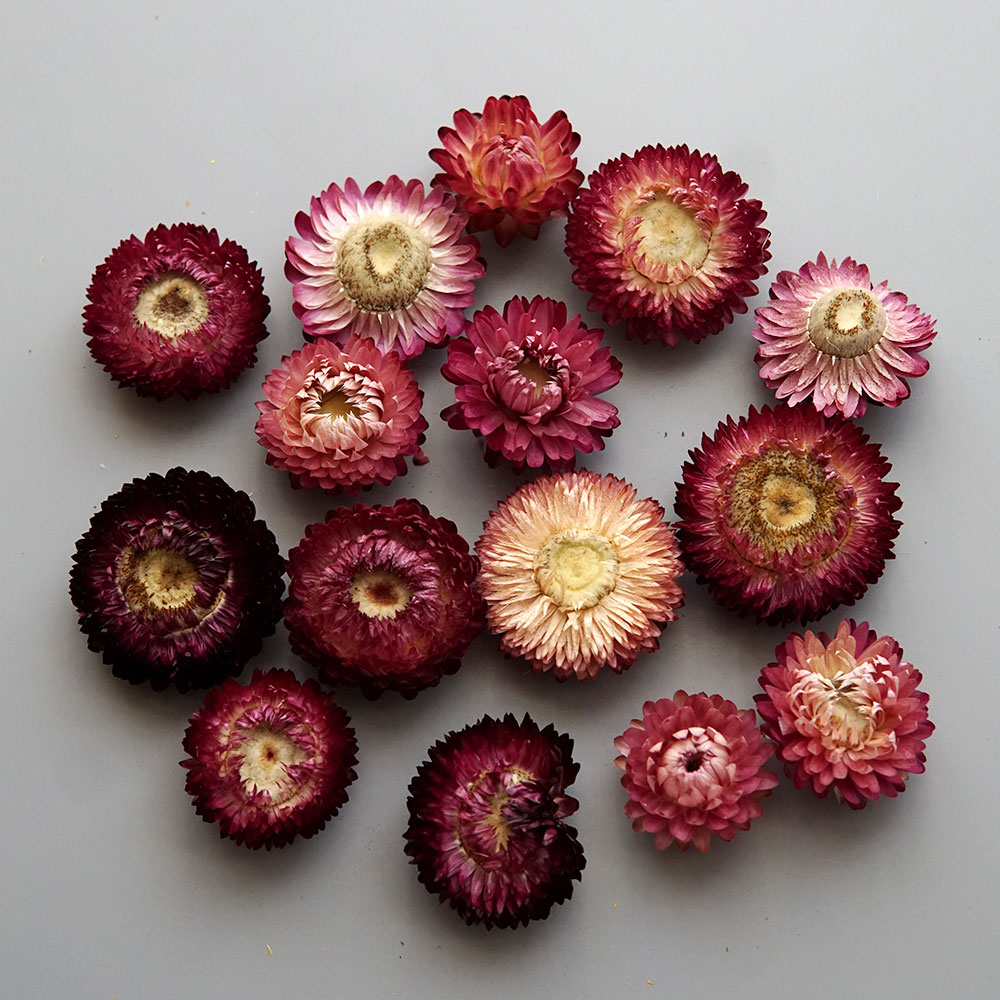 Grinalda de crisântemo colorid - Holiday Candle Set avaliação e preço